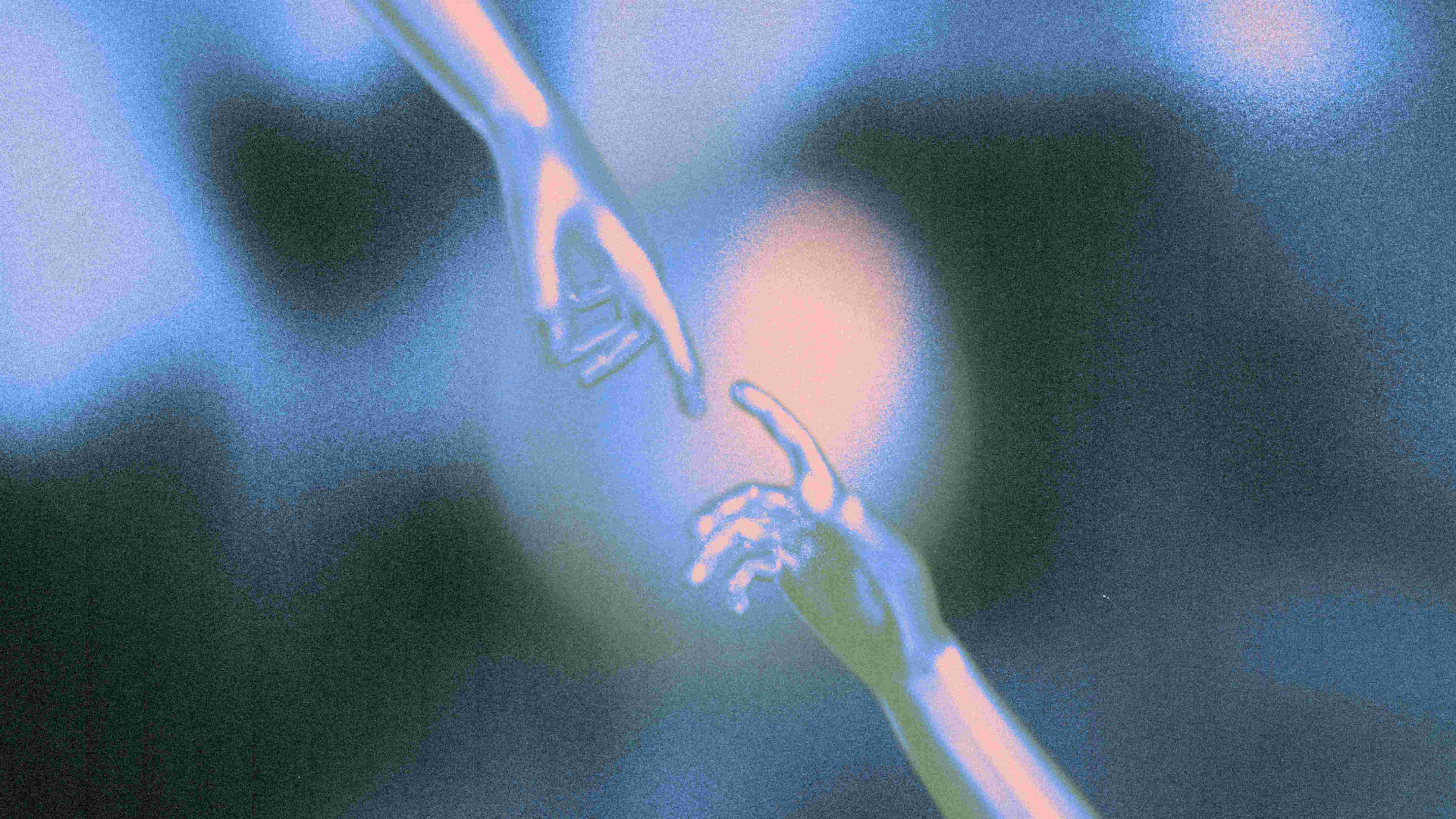 Our tight-knit team collaborating